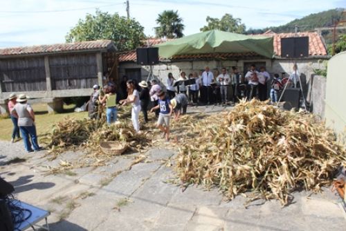DESFOLHADA TRADICIONAL 2017